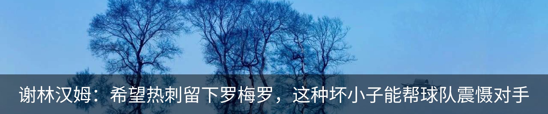 内页banner